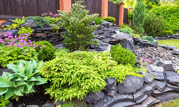 landscape with black flagstone that forms a raised bed filled with vibrant plants