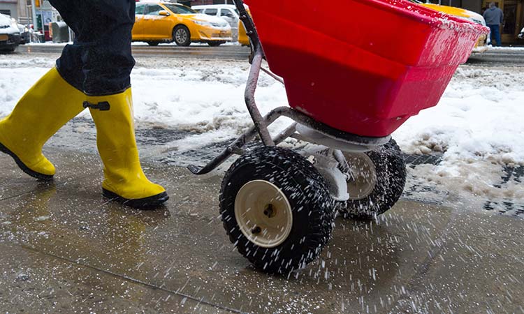 a person spreads ice melt crystals on a sidewalk using a spreader