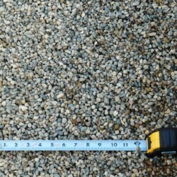 Pea Stone Pea Stone